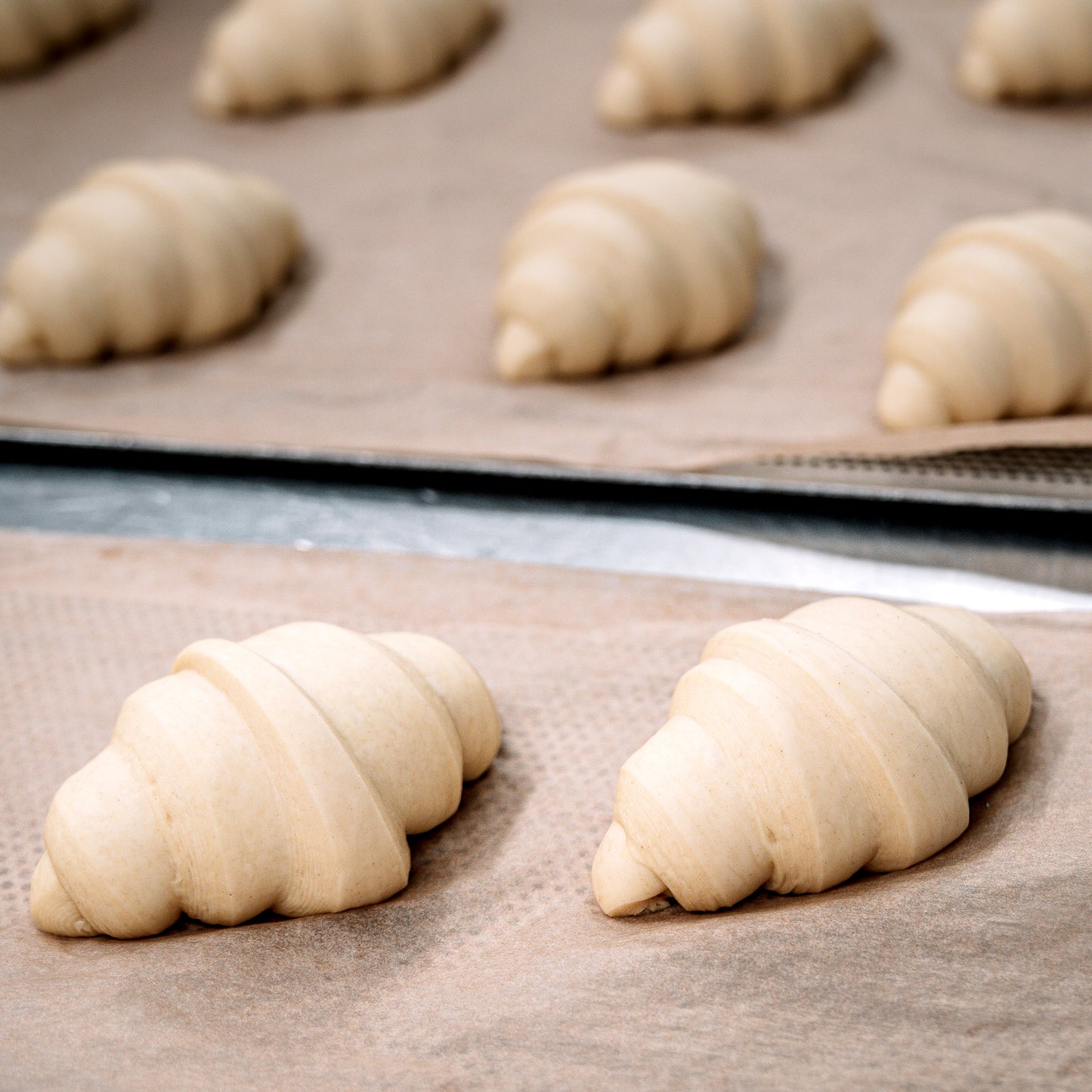many croissants on a tray before they are baked.
