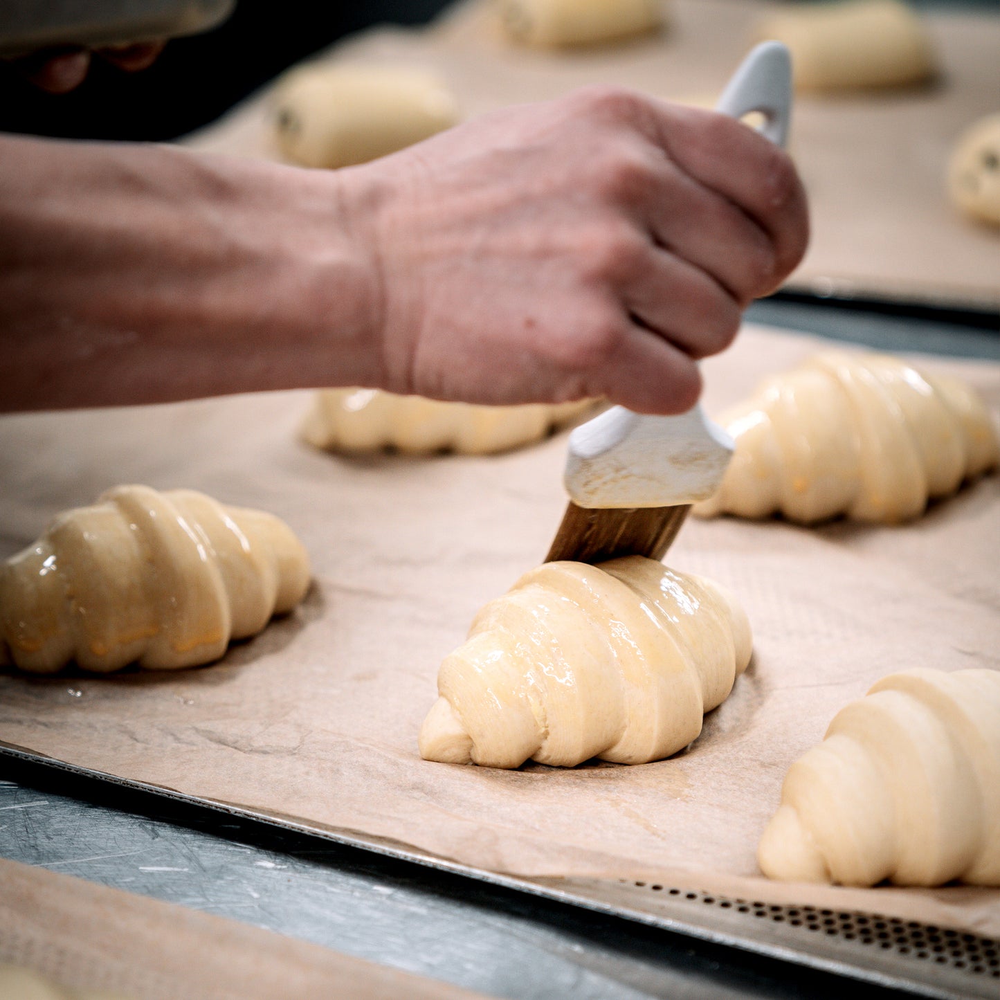 many croissants on a tray before they are baked.